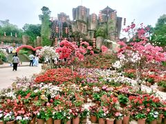 -松山湖梦幻百花洲