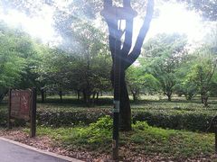 -宝岩生态观光园