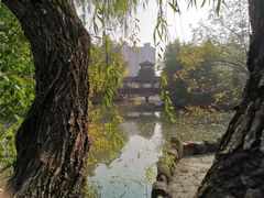 -南汇桃花村