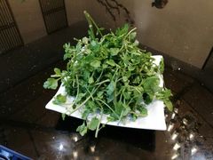 -东颖龙肥牛王(绵阳店)