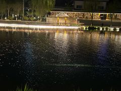 -雁滩公园