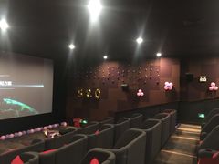 -大地影院(上海南汇店)