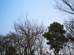 -盐官日光域房车营地·有盐餐厅