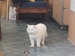 -彳亍咖啡·这里(水湾路店)