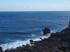 -龙坑生态保护区