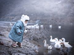-白河湾生态旅游一条川