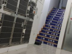 -爱佳宠物中心医院24H·CT·骨外科·猫专科(瑶海万达店)