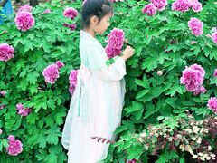 -洛阳市隋唐城遗址植物园