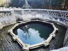 -习家池