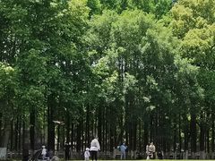 -范蠡湖公园