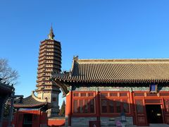 -西海子公园