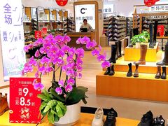 -巴黎春天(陕西路店)