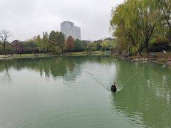 -苏州金鸡湖大酒店