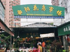-曲阳花鸟市场(曲阳路店)