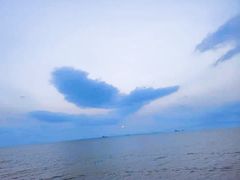 -七鲜渔港美食餐厅(巽寮湾海景店)