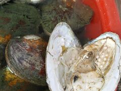 -演武大桥观景平台