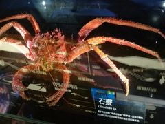-同济大学四平路校区深海探索馆