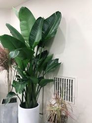 -DX HAIR SALON·发现未知美发沙龙