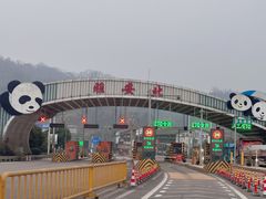 -老字号怡玺·藿香雅鱼(20年雅安店)