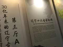 -辽宁古生物博物馆