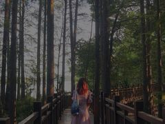 -东湖落雁景区