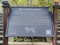 -大金鹰园