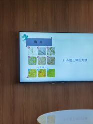 -海豚湾高端月子会所(黄浦店)