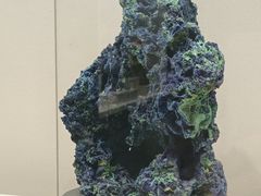-安徽省地质博物馆