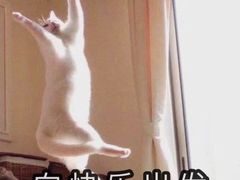 -四环冷面王(西单华威约饭街店)