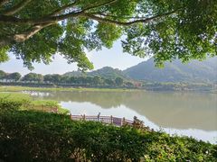 -艾米稻香小镇