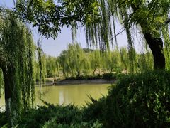 -南翠屏公园