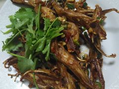 -阳江餐厅·30年老字号·粤菜海鲜大排档