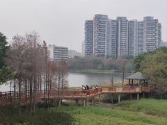 -广东花都湖国家湿地公园