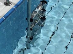 -重庆市奥林匹克体育中心-游泳跳水馆