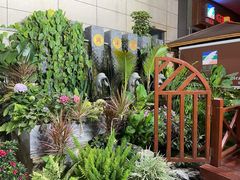 -润泽园椰子鸡(汇一城店)