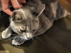 -猫岛主趣味餐厅(鼓浪屿店)