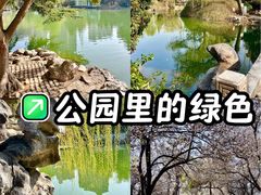 -西苑公园
