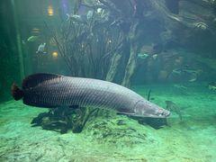 -华夏文旅海洋公园