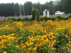 -紫海香堤香草艺术庄园