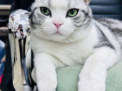 -百金通黄金回收首饰定制维修(珠江路总部)