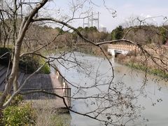 -柳鹭田园区