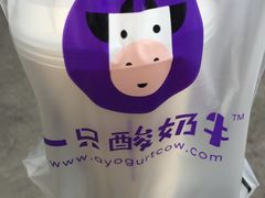 -一只酸奶牛(奎星楼店)