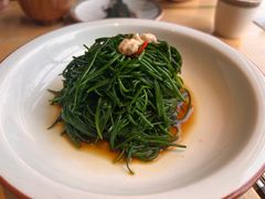 -蒙料·手把肉(望京店)
