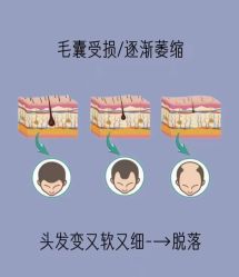-天其美科学美肤·生发健康管理