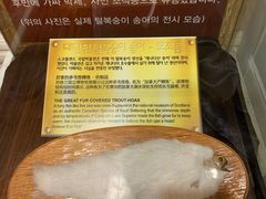 -信不信由你博物馆