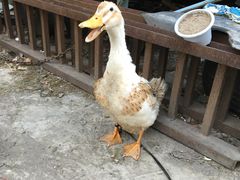 -大地影院(上海南汇店)