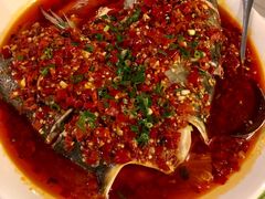 -海湾壹品·粤菜·早茶·烤鸭(拱北店)