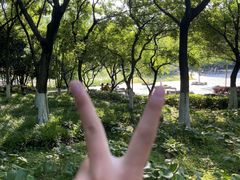 -太子山公园(园东路)