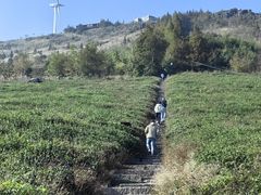 -东白山
