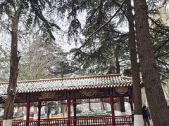 -中国人民解放军总医院